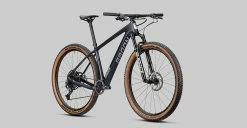 Radon Jealous 10.0 -Vélo Boutique de vente 2022 Jealous 10 0 detail08