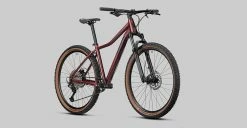 Radon ZR Lady 7.0 -Vélo Boutique de vente 2022 ZR LADY 7 0 multi detail06