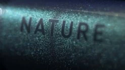 Cube Nature EXC Verde´n´black 12 Cube Nature EXC Verde´n´black -Vélo Boutique de vente 645210 D 03