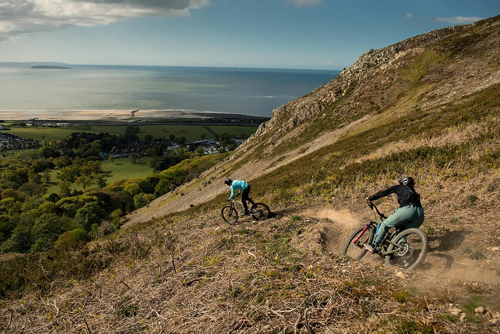 Santa Cruz Bronson C S 7 Santa Cruz Bronson C S – Image 5