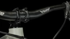 Cube Stereo 240 Pro Grey´n´green -Vélo Boutique de vente Stereo 240 Pro grey n green 659050 4